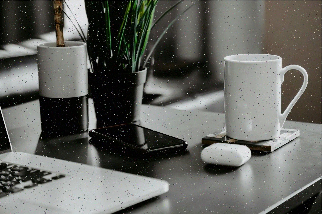 Proyecto servicio profesional