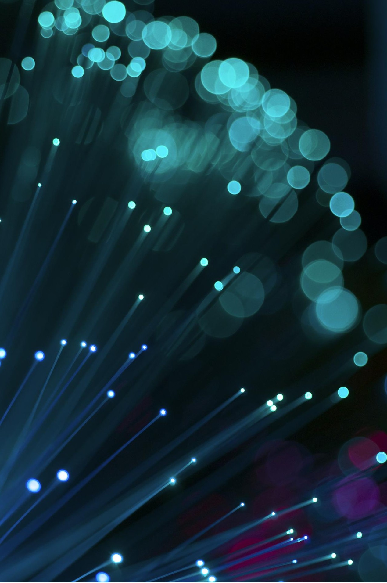 Proceso creativo de marca